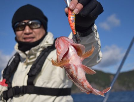 渡船屋たにぐち 釣果