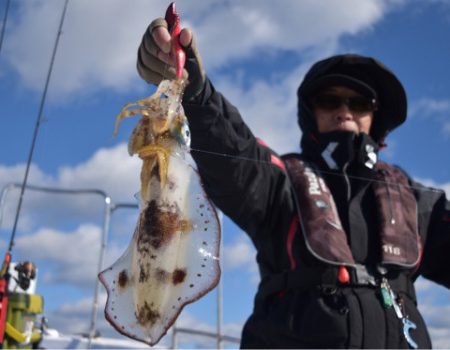 渡船屋たにぐち 釣果