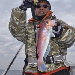渡船屋たにぐち 釣果
