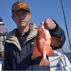 渡船屋たにぐち 釣果