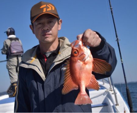 渡船屋たにぐち 釣果
