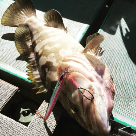 ＴＡＲＯＭＡＲＵ 釣果