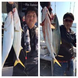 ビッグファイター 釣果