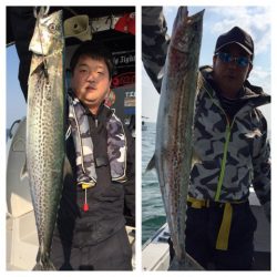 ビッグファイター 釣果