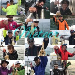 遊漁船メテオ 釣果