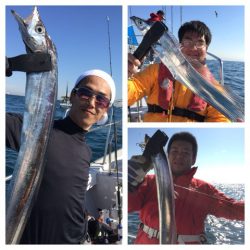 ビッグファイター 釣果