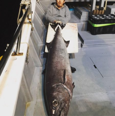 ＴＡＲＯＭＡＲＵ 釣果