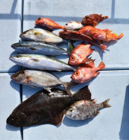 渡船屋たにぐち 釣果