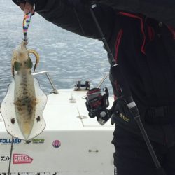 「LaGooN」蒼陽丸 日和号 釣果