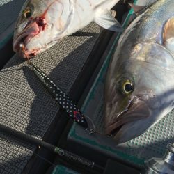 ＴＡＲＯＭＡＲＵ 釣果