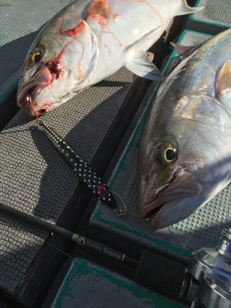 ＴＡＲＯＭＡＲＵ 釣果