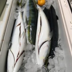 第二八坂丸 釣果