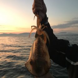 まるいち丸 ZERO-1 釣果