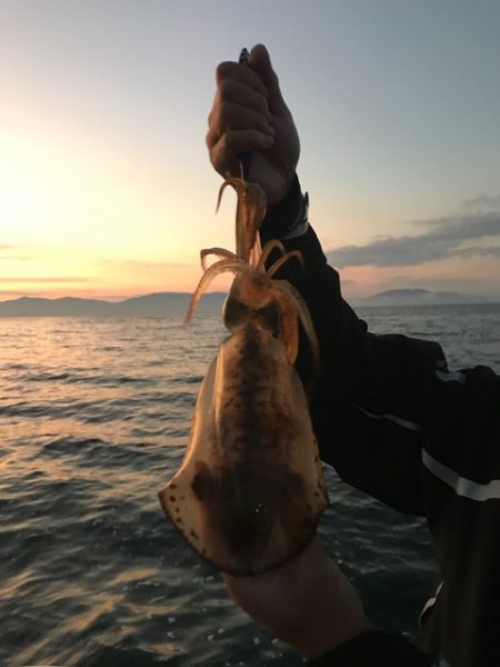 まるいち丸 ZERO-1 釣果