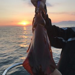 まるいち丸 ZERO-1 釣果