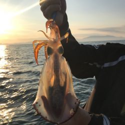 まるいち丸 ZERO-1 釣果