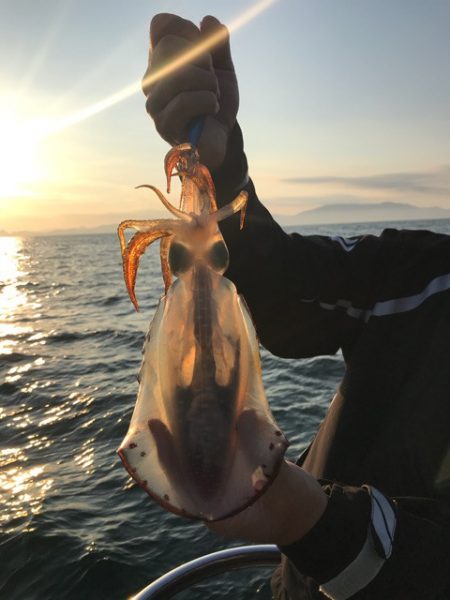 まるいち丸 ZERO-1 釣果