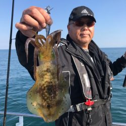 まるいち丸 ZERO-1 釣果