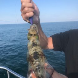 まるいち丸 ZERO-1 釣果