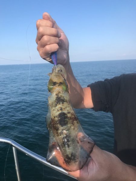 まるいち丸 ZERO-1 釣果