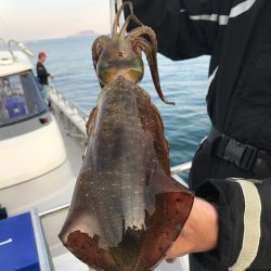 まるいち丸 ZERO-1 釣果