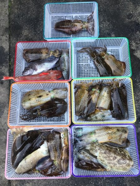 まるいち丸 ZERO-1 釣果