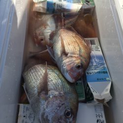 第二八坂丸 釣果