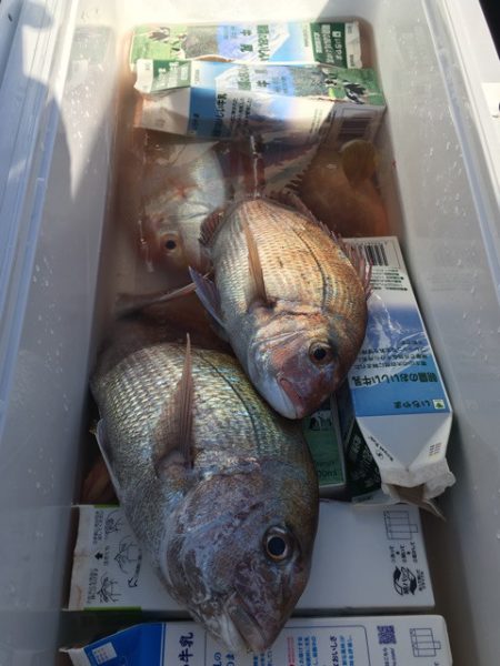 第二八坂丸 釣果