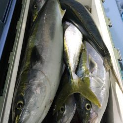 第二八坂丸 釣果