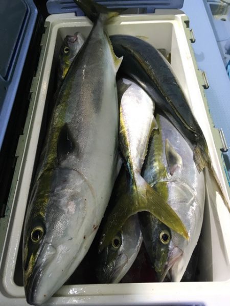 第二八坂丸 釣果