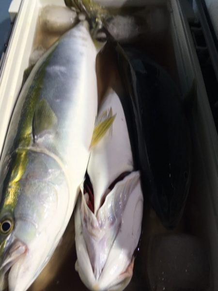 第二八坂丸 釣果