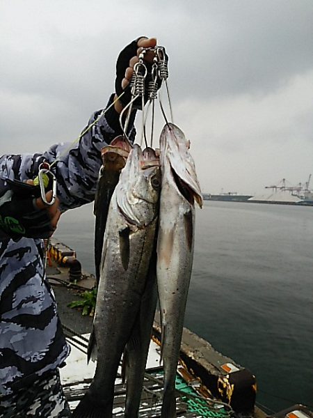 KO-SHIN丸 釣果