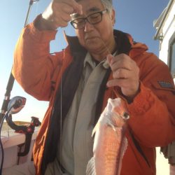 晃山丸 釣果