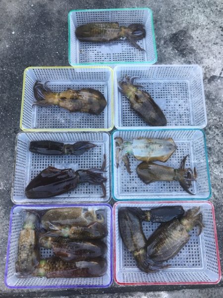 まるいち丸 ZERO-1 釣果