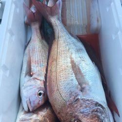 第二八坂丸 釣果