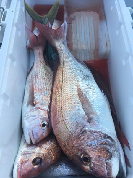 第二八坂丸 釣果