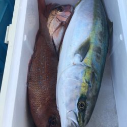 第二八坂丸 釣果