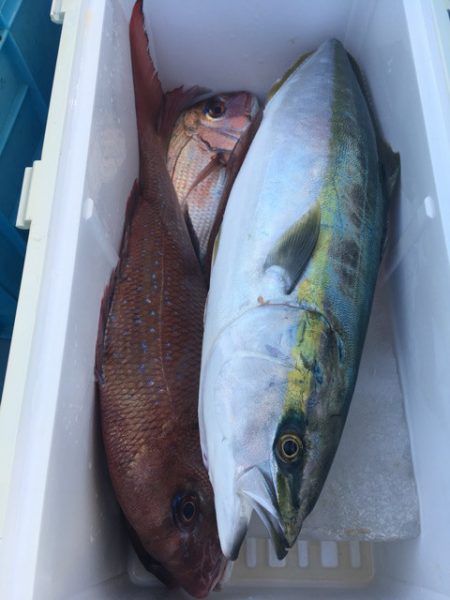 第二八坂丸 釣果