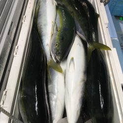 第二八坂丸 釣果