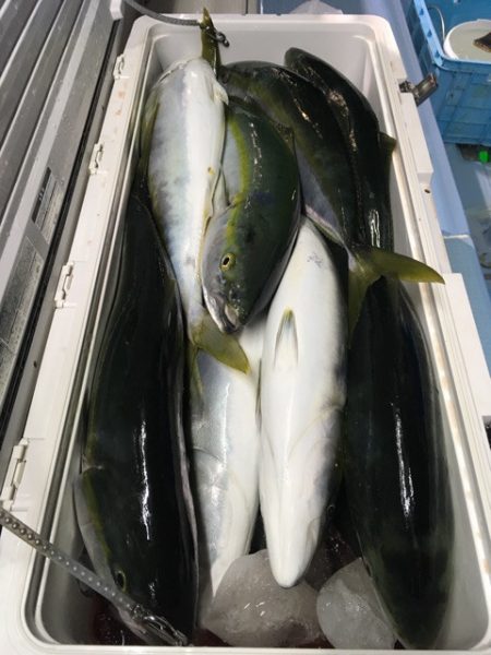 第二八坂丸 釣果