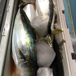 第二八坂丸 釣果