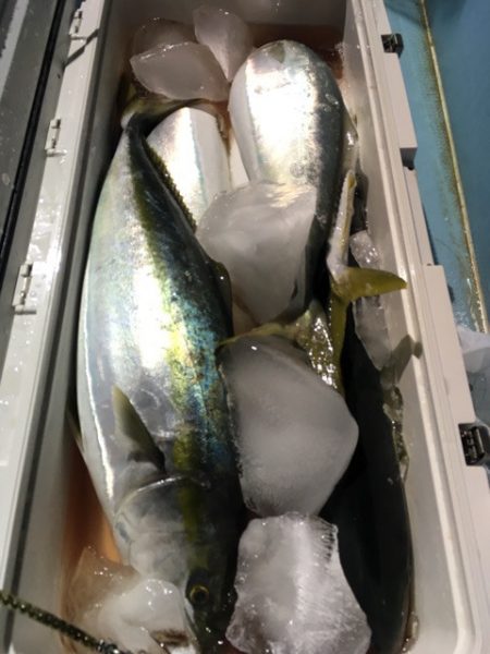 第二八坂丸 釣果