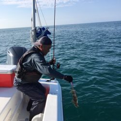 うさぎ丸 釣果