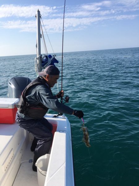 うさぎ丸 釣果