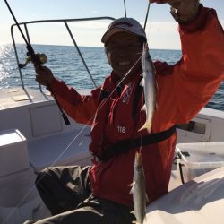 うさぎ丸 釣果
