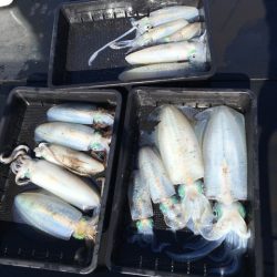 渡船屋たにぐち 釣果