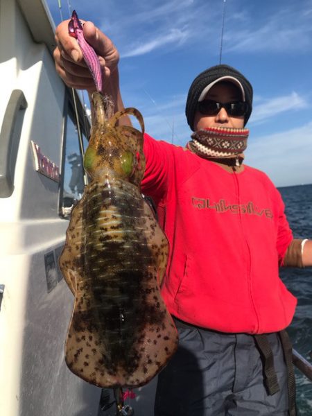 まるいち丸 ZERO-1 釣果