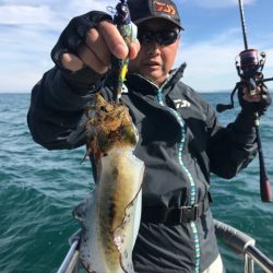 まるいち丸 ZERO-1 釣果