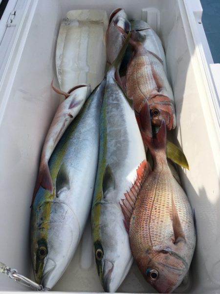 第二八坂丸 釣果