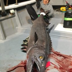 ＴＡＲＯＭＡＲＵ 釣果